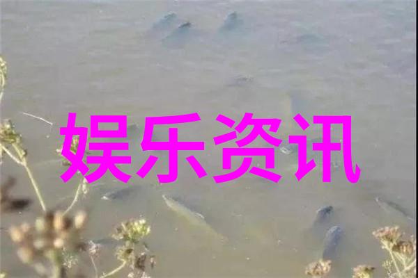 追逐梦想的旅程向往生活综艺