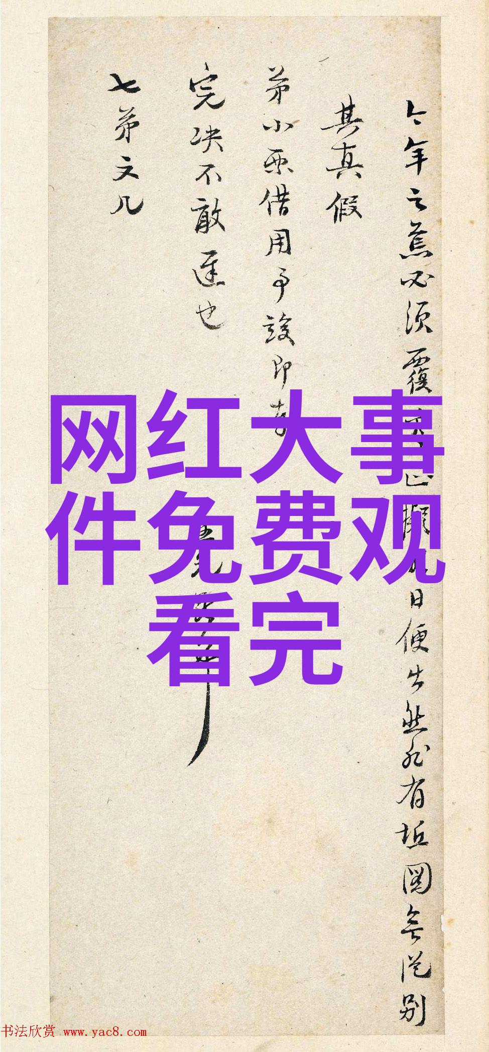 台湾最新24小时消息政经热点社会动态全解析