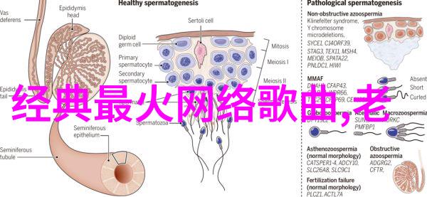 30种BB形态你知道吗