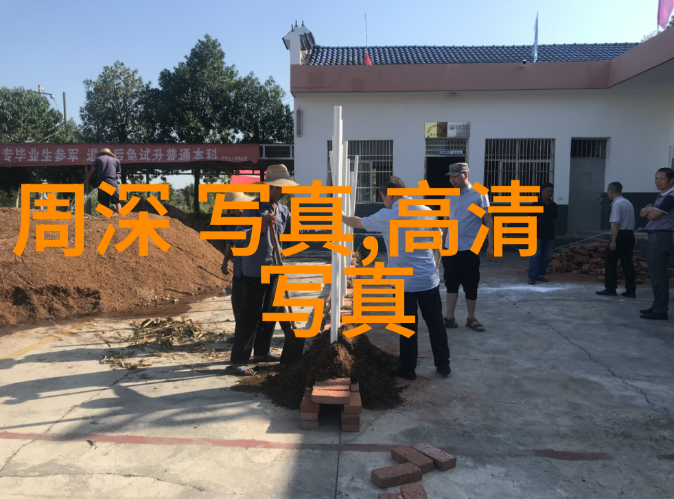 皇家娱乐指南揭秘贵族社交与宫廷盛宴