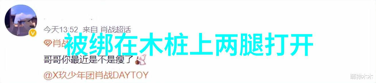 台湾形势与政策论文我眼中的台湾动荡与机遇的双刃剑