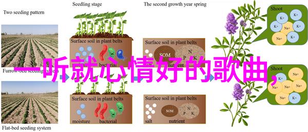 影响星辰星空影视如何塑造文化风潮