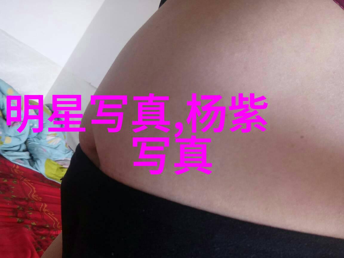 西安抓获一涉嫌非法出售明星艳照嫌犯