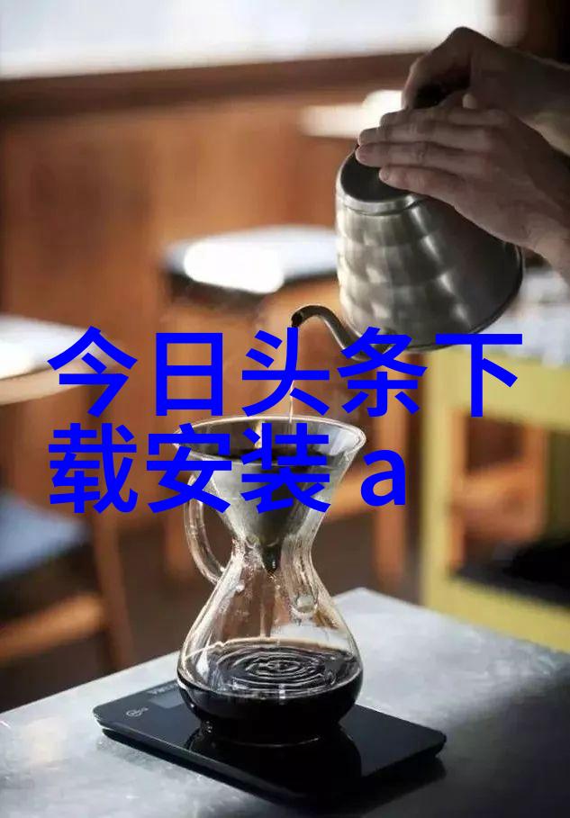 追逐梦想体验完美向往的生活综艺大秀