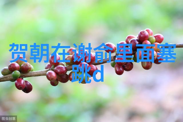 数字之旅揭秘国际标准化组织的3166代码