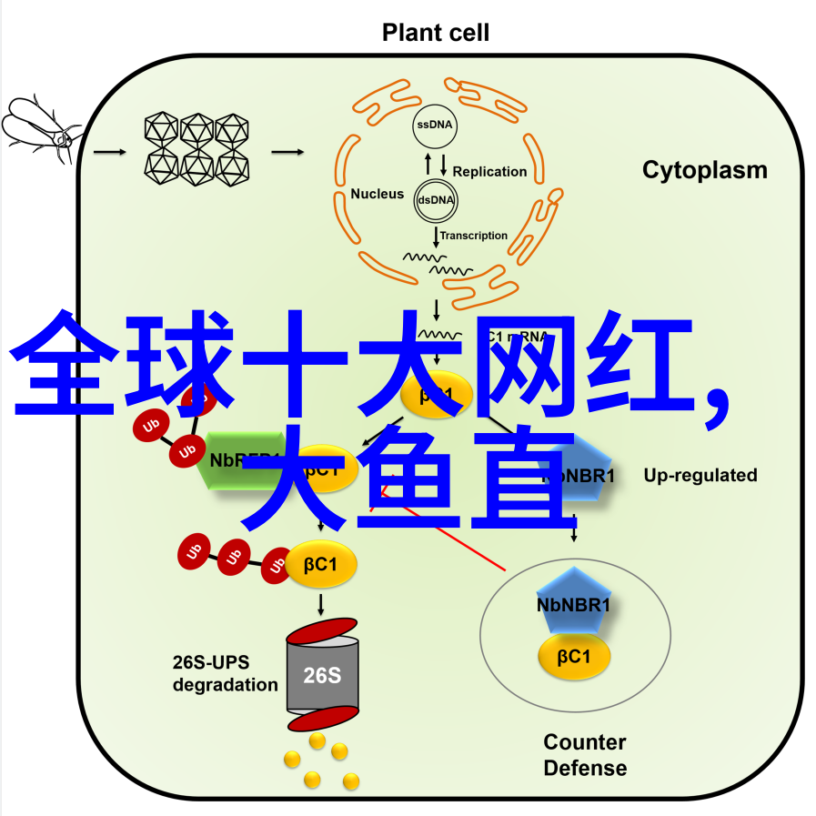 今日头条App下载安装指南轻松体验新闻盛宴