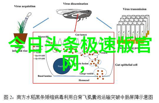 短发也能时尚从草率到炫酷的奇妙之旅