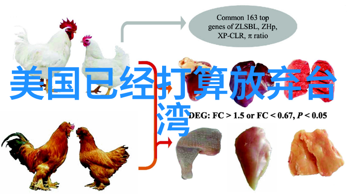 风华绝代的孤岛台湾现状中的反差篇章