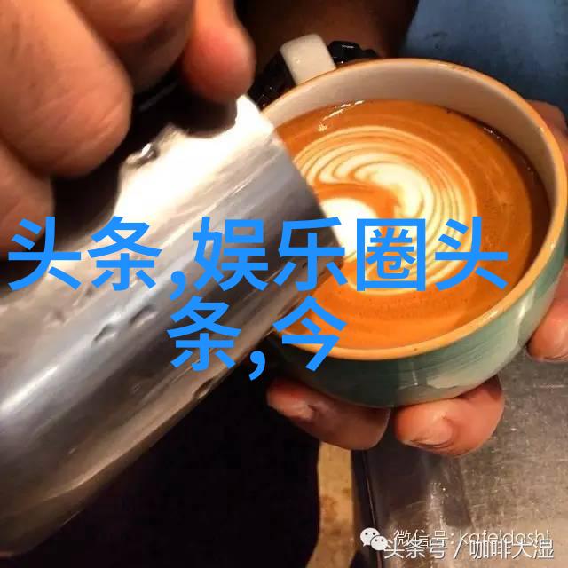 厨艺与快节奏生活-么公的猛进猛出如何在厨房中保持高效与创意