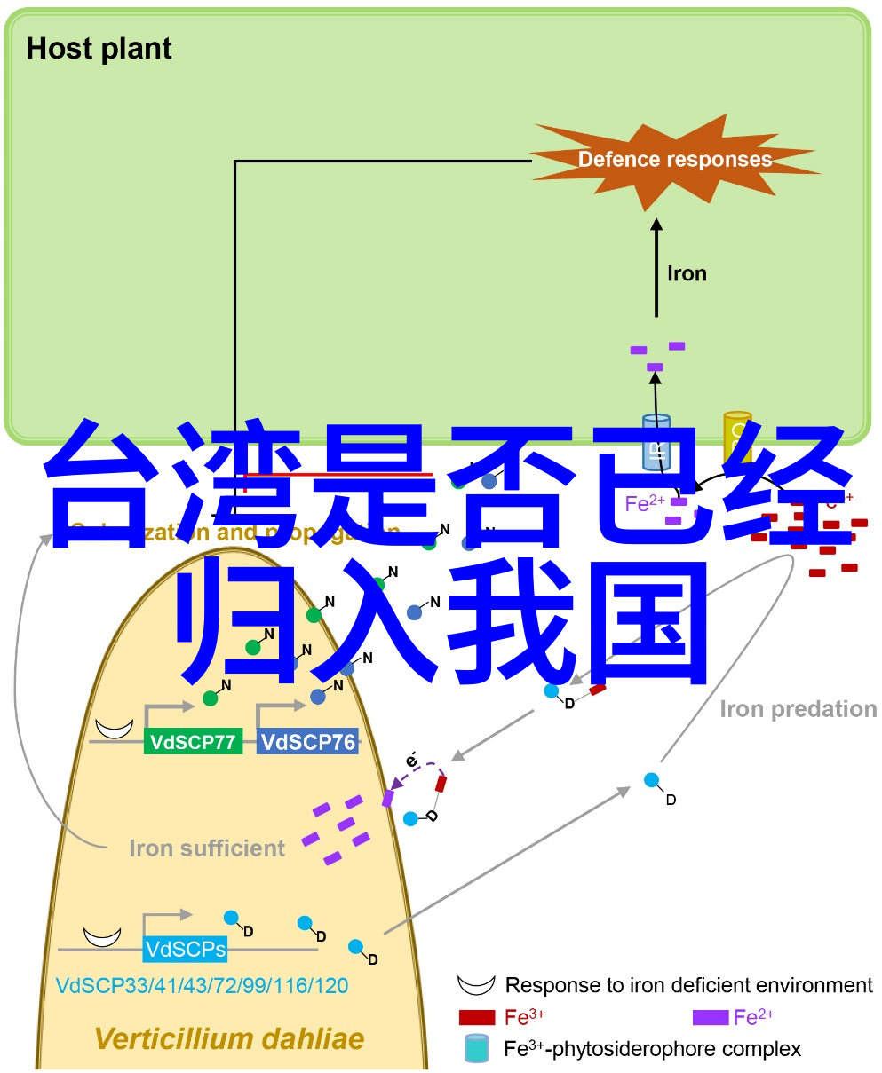 星辉娱乐全钟瑞与导演李忠贤的浪漫爱情故事揭秘全钟瑞个人资料