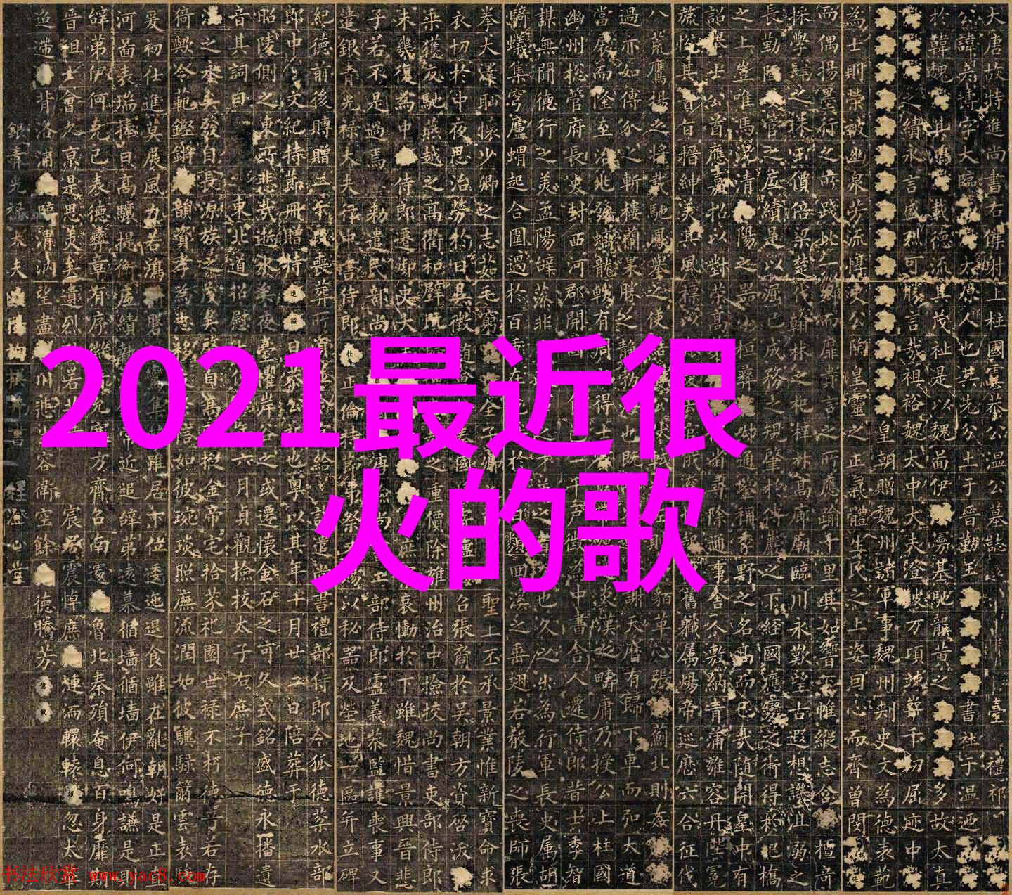 在信息爆炸的年代人们如何选择最有价值的娱乐内容