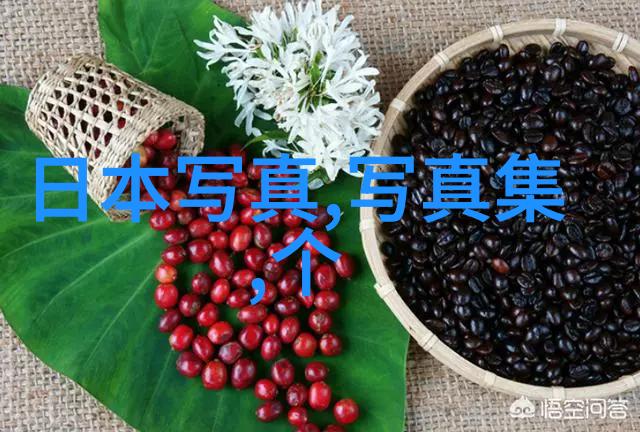 搜图大师你的图片搜索引擎