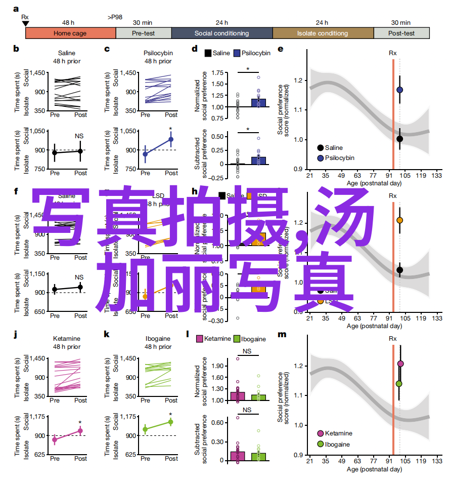 迷航昆仑墟剑锋一闪突破重围正如对准了自己动不然不给你头条的勇士一般英姿飒爽地走过了千山万水