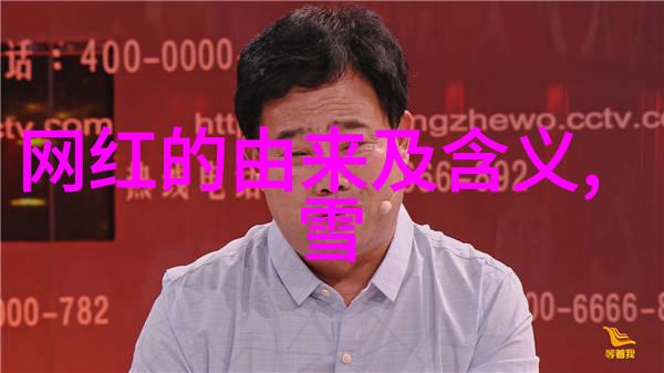 2022初春时尚之选半裙交叉高级时尚羽绒服暖意融合贵气十足