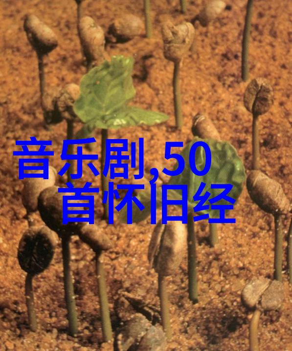 时尚coo我的街头时装日记