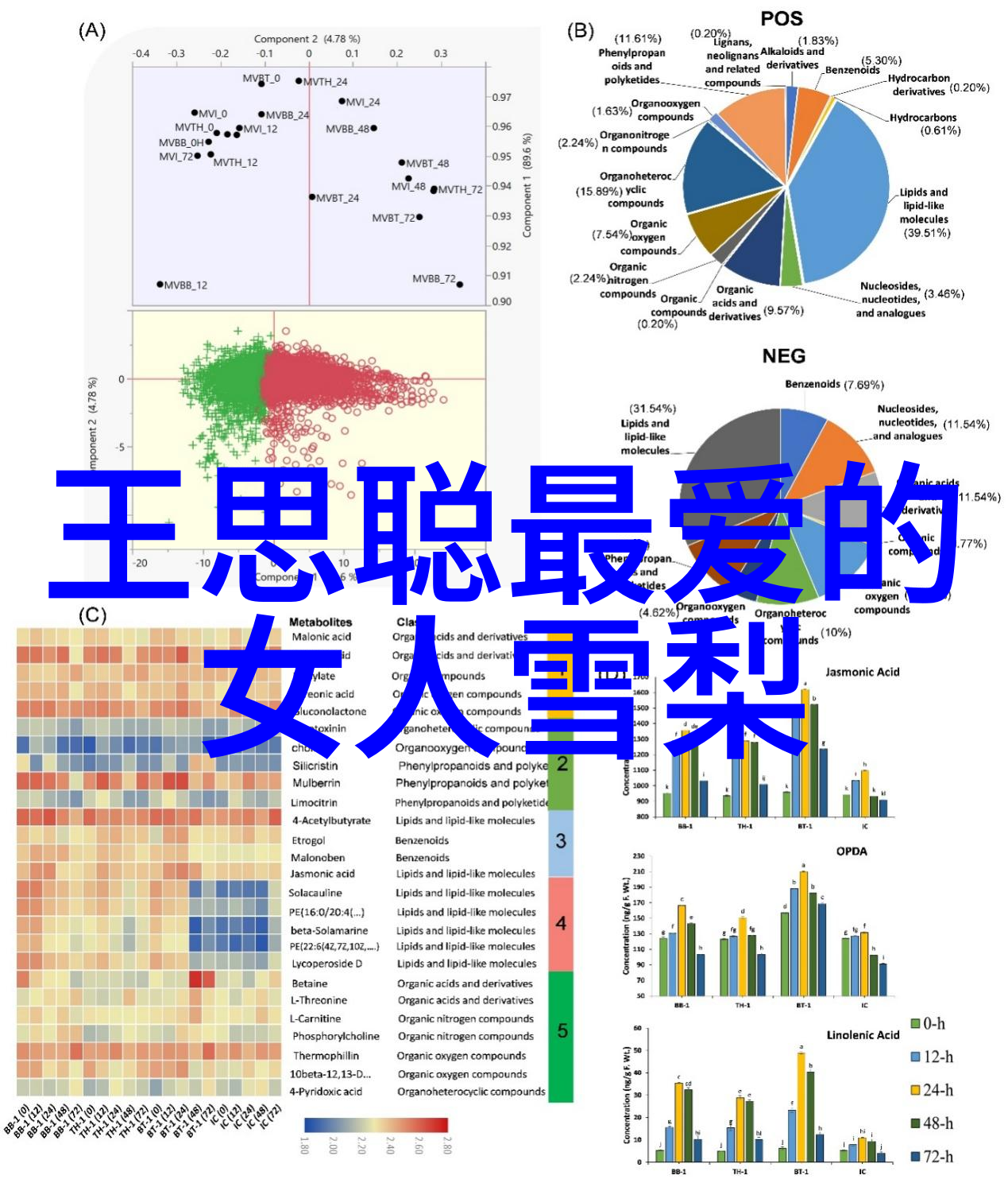 广东省教育局对本科生就业指导服务有什么新的政策支持