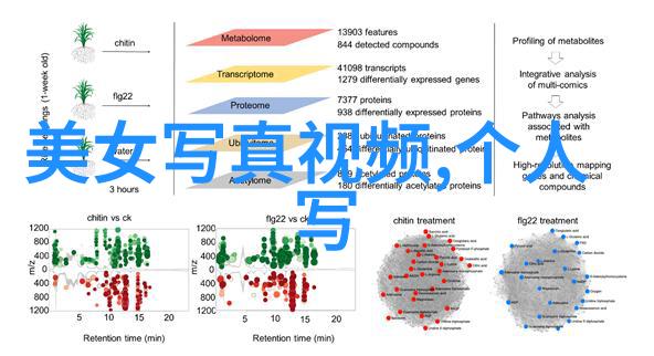 代号山豹追踪者侦探悬疑电视剧