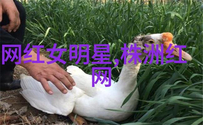 在黑暗森林的诱惑下撩妹技巧的深层探究如何让她上瘾