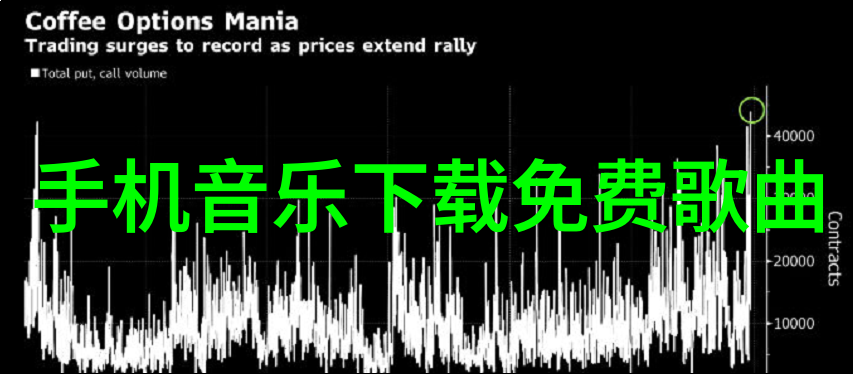 魅影视频中的时尚潮流如何影响青少年生活方式