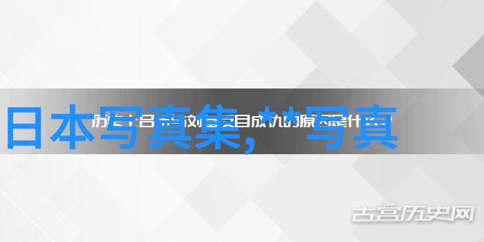 浪漫的岛国探索日本恋爱综艺的魅力