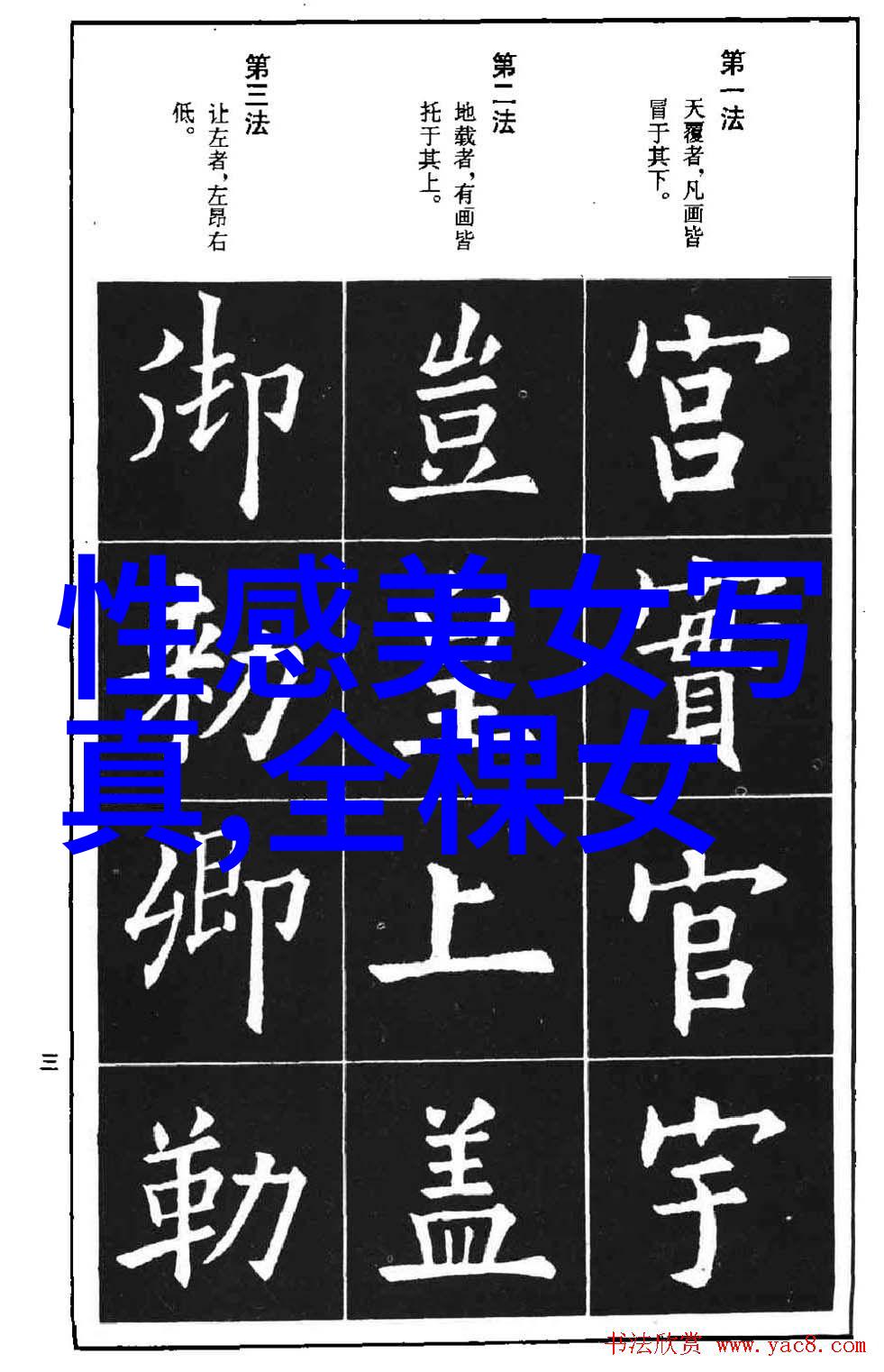 极限挑战实录生存求生竞技秀