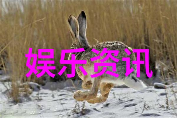 网红雪梨镜中花水中月整容之旅的双重曝光