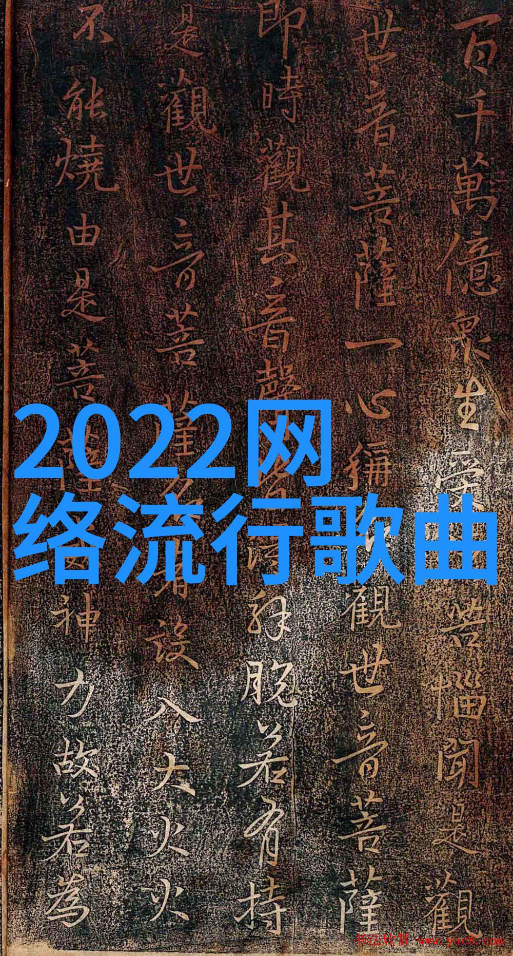 主持人在遇见你真好探险中的表现有什么特别之处吗