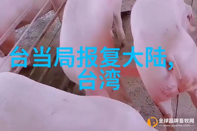 才女具惠善公开高三旧照 天然美女备受瞩目