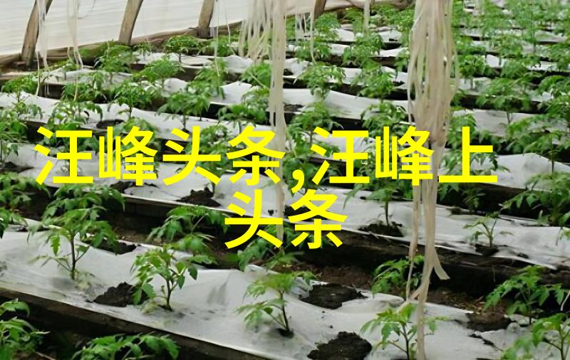 时尚界传奇周润发67岁再现风采白发染黑如新人一眼看去帅气犀利大气