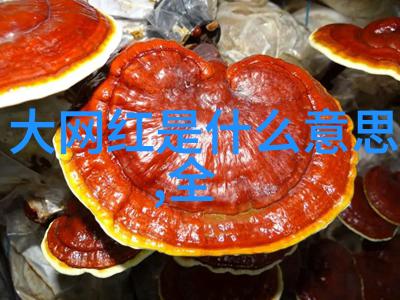 娱乐圈的新宠物李明明狗狗成为影帝人气超越小鲜肉