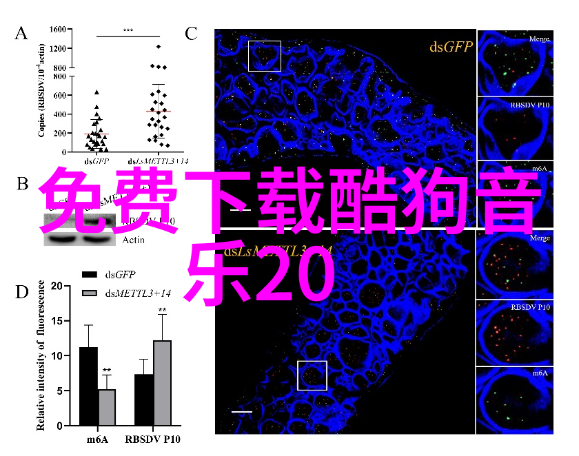 沈念慈陆之天小说全文免费阅读沈念慈陆之天的奇幻冒险