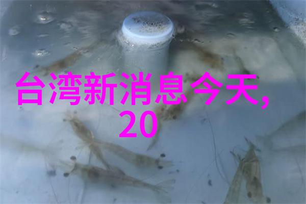 台湾宣布大幅减税政策以促进经济发展