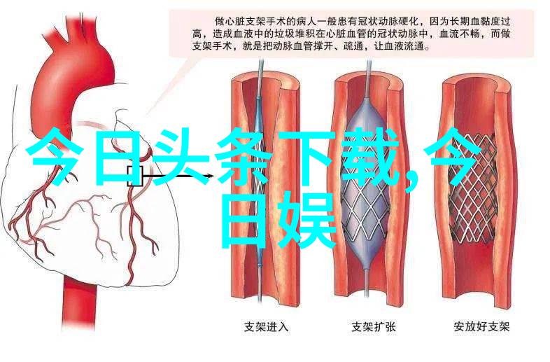 超越极限探索追求Alpha的方法与策略