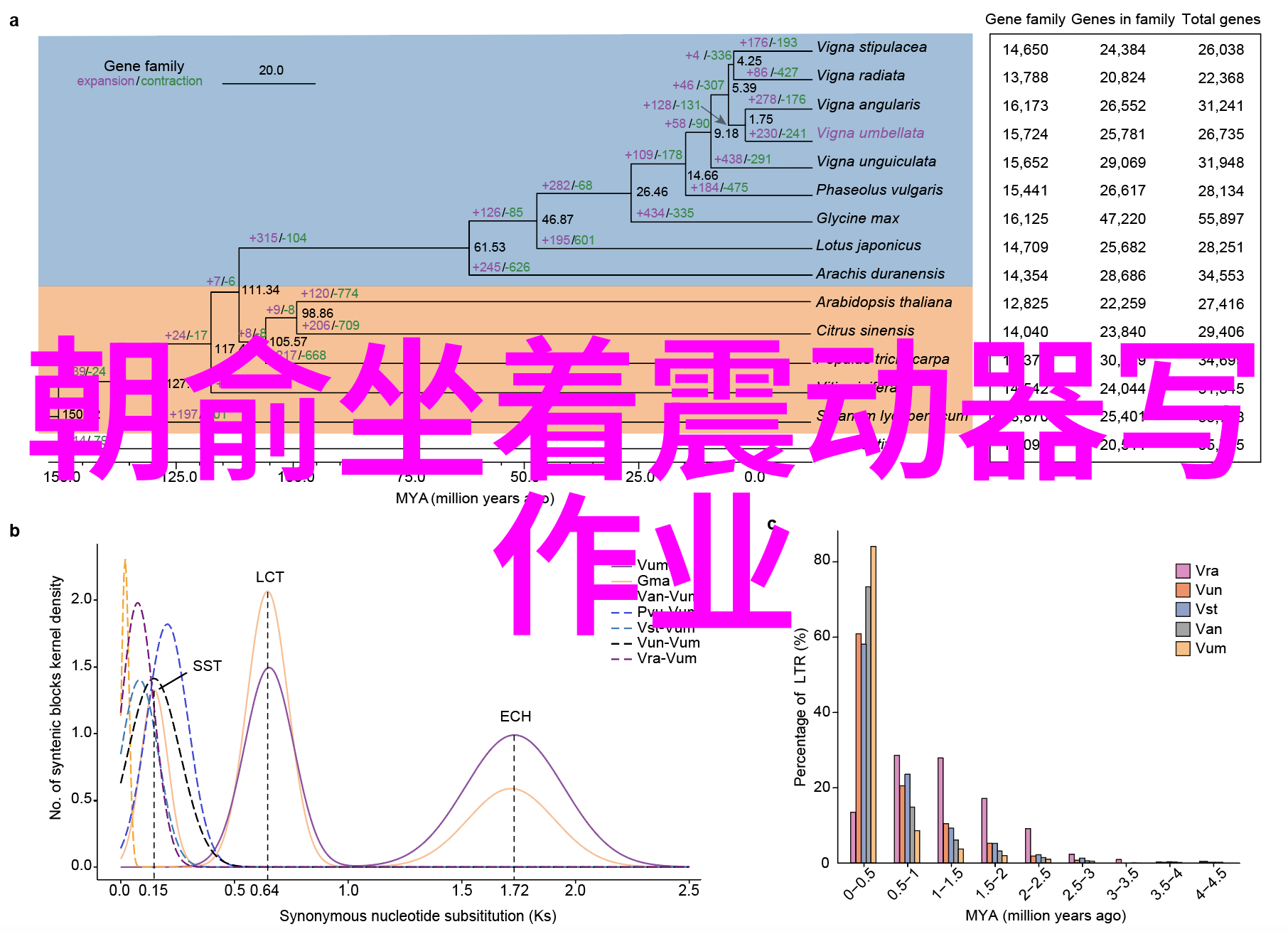 从背叛到宽恕婚巢揭示人性深处的情感纠葛