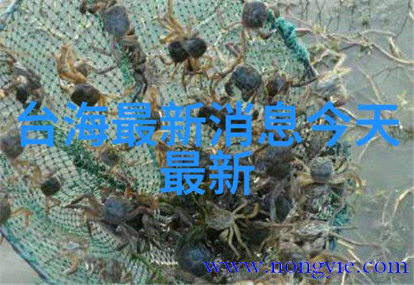 影视分享平台-探索人人影视用户体验与内容多样性