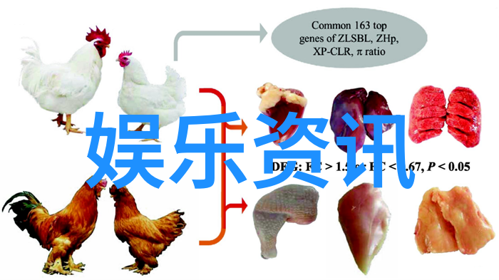 综艺盛名家务高手探秘家务优等生背后的故事