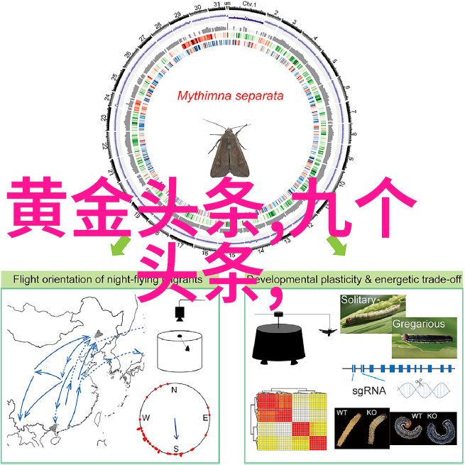 徐峥悼念高以翔 斥责追我吧节目组要负责