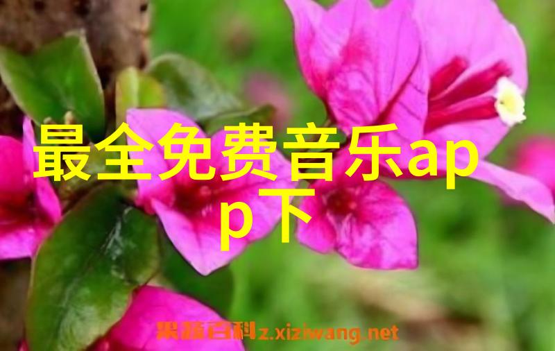 小学音乐教育中的流行歌曲应用分析小学生最受欢迎的三首歌曲及其对学习兴趣提升的影响