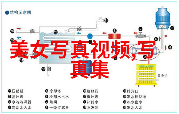 秦岚与侯勇携手主演灿烂的转身在自然之美中寻找情感解锁4月1日播出