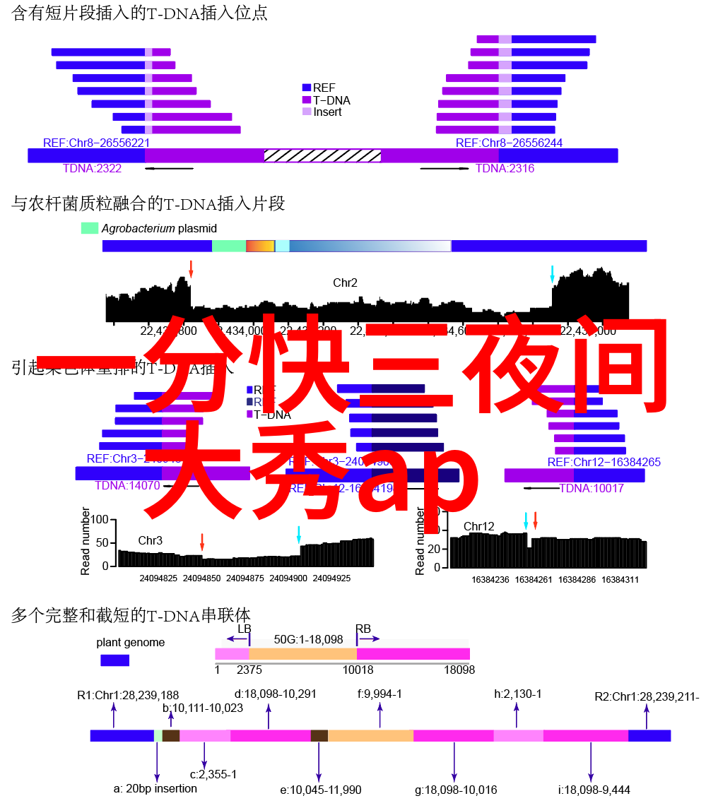 罡步口诀解析揭秘后天八卦的武学奥义