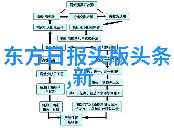 风韵绽放镜中女士的诗意时刻