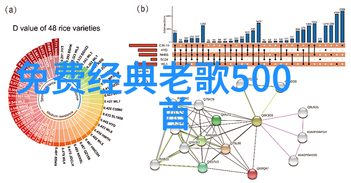 精美头像图片大全探索个性化设计的艺术