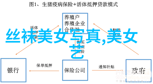 从微薄积蓄到亿万财富的奇幻之旅