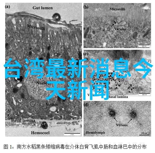 1999年的保密协议在综艺现场引爆王俊凯随即调侃说我不让奥特曼拯救你们了这个梗竟然让观众们联想到自然