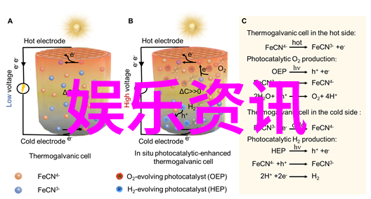 家庭纽带我兄弟姐妹的故事