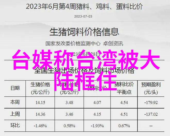 娱乐圈新宠网红模特儿打破传统美模标准