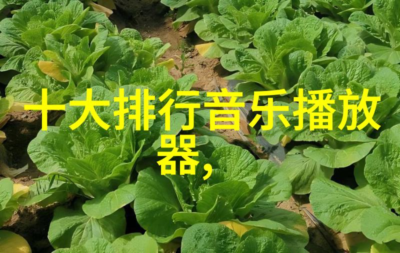 直播间无界探索开放的边际