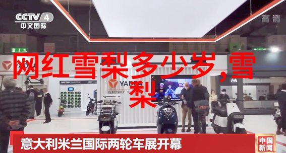 艺术的精髓探索无缝美学公式