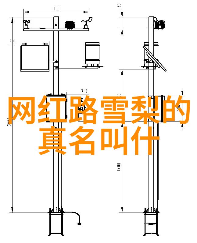 李凯馨曝光19岁生日写真 全能少女青春韶华正当时