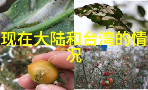 奇幻料理技巧-冰块和棉签的黄金牛奶奇迹揭秘弄出牛奶(黄)视频的秘诀